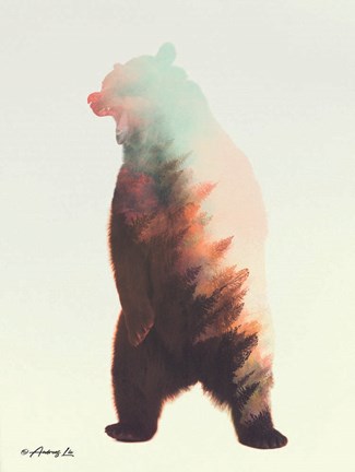 Framed Norwegian Woods Bear Print
