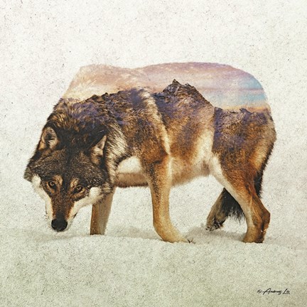 Framed Wolf - North Print