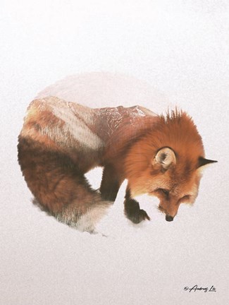 Framed Snow Fox Print
