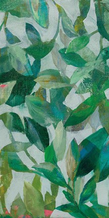 Framed Summer Garden Greenery II Print