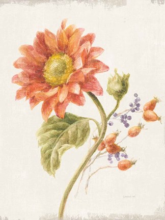 Framed Floursack Autumn II v2 Crop Print