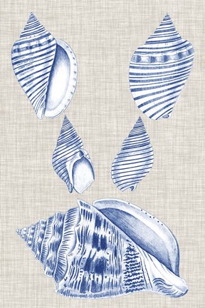 Framed Navy &amp; Linen Shells III Print