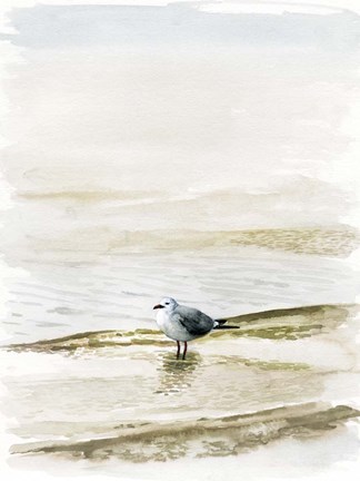 Framed Coastal Gull II Print