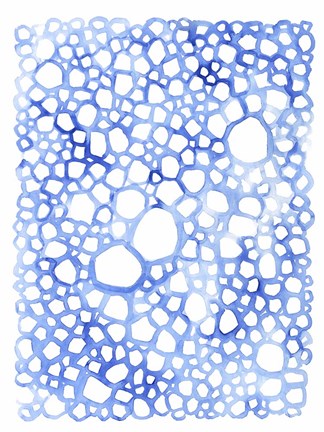 Framed Indigo Plexus II Print