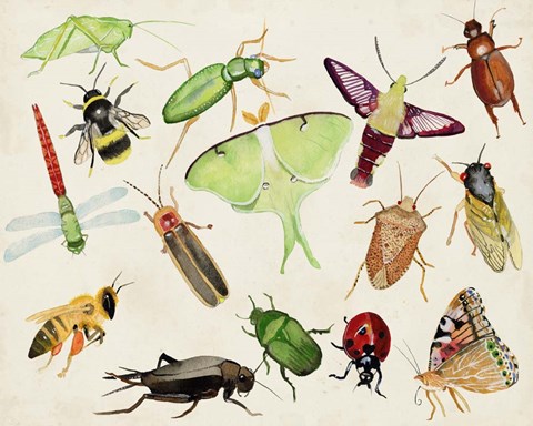 Framed Bugdom II Print