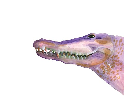 Framed Sunset Safari IV Print