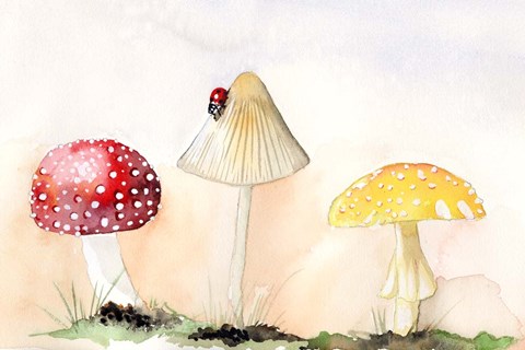 Framed Faerie Mushrooms I Print