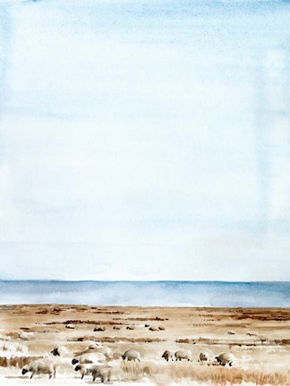 Framed Scottish Ewes I Print