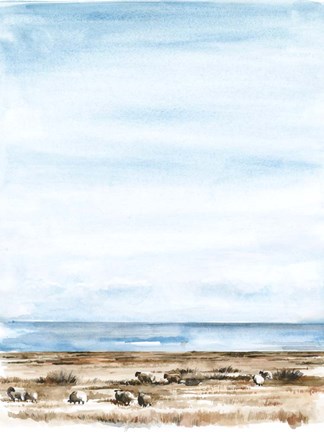 Framed Scottish Ewes II Print