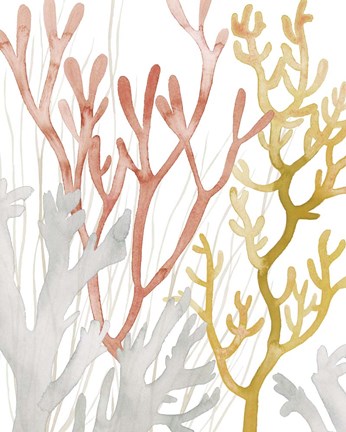 Framed Desert Coral I Print