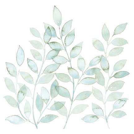 Framed Winding Whisper II Print