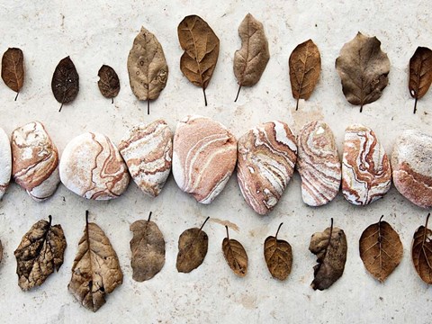 Framed Gifts of the Earth III Print