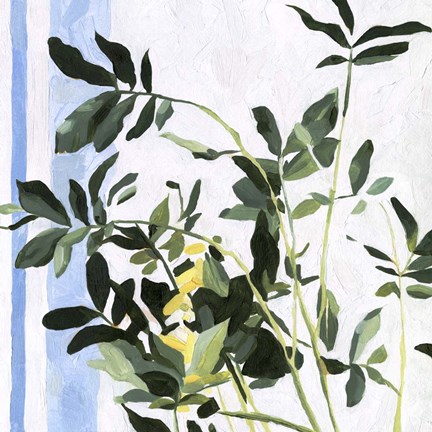 Framed Indoor Plant I Print