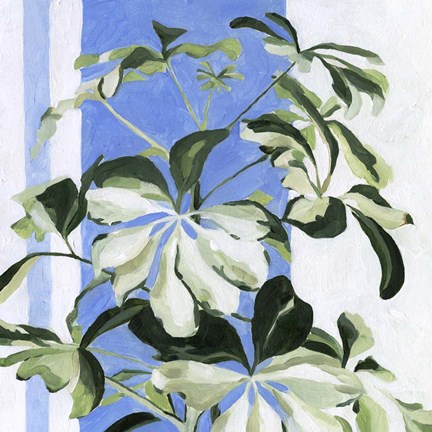 Framed Indoor Plant II Print