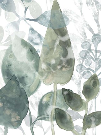 Framed Aquatic Leaves II Print