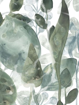 Framed Aquatic Leaves IV Print