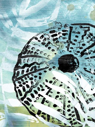 Framed Echinoidia I Print