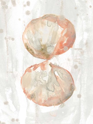 Framed Muted Molusk I Print