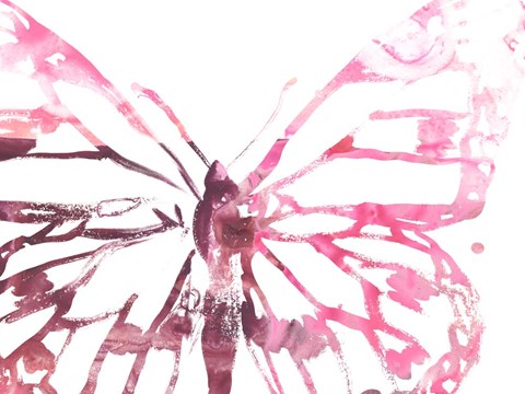 Framed Butterfly Imprint II Print