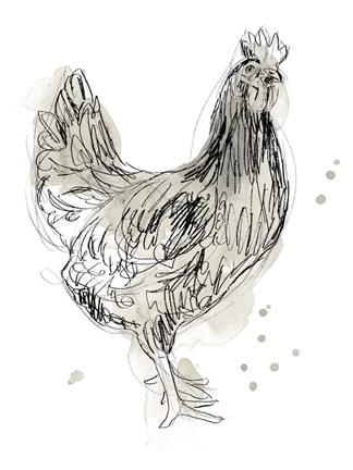 Framed Feathered Fowl I Print