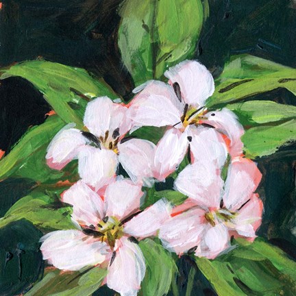 Framed Summer Bride III Print