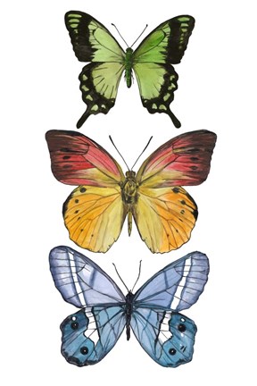 Framed Falling From III Print