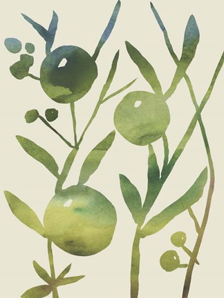 Framed Spring Sprig IV Print