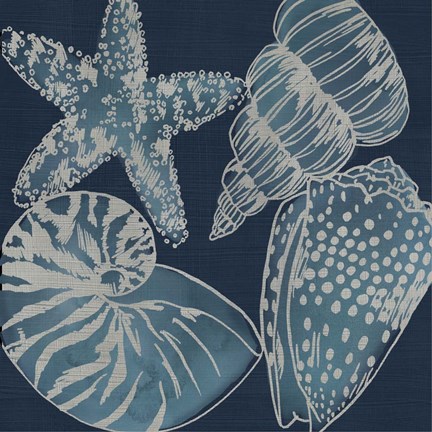Framed Marine Shells I Print
