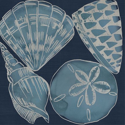 Framed Marine Shells IV Print