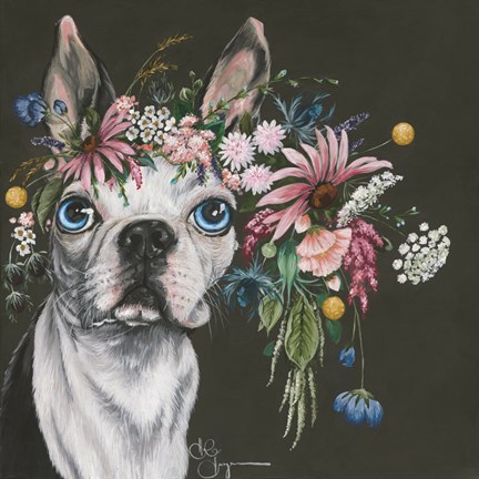 Framed Boston Terrier Print