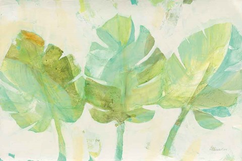 Framed Tropical Trio Print