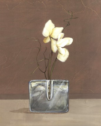 Framed Orchids with Curly Willow Print