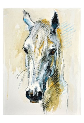 Framed Horse Head Print