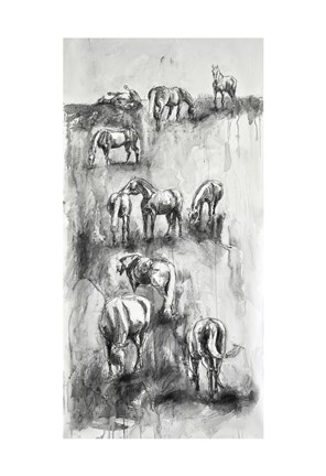 Framed Equine Life 4 Print