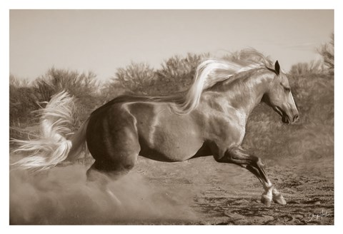Framed Platinum Centerfold (sepia) Print