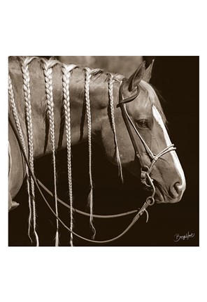 Framed Braided Print