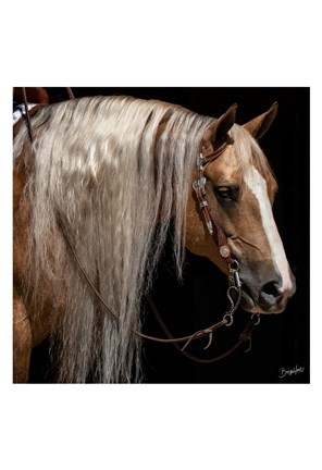 Framed Platinum in Bridle Print