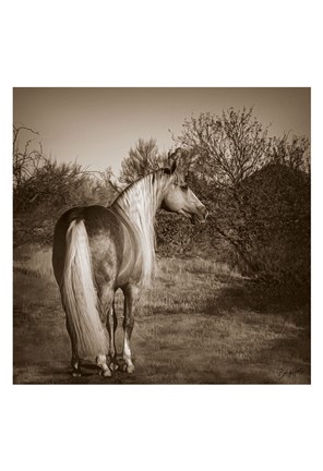 Framed Just Sayin Print