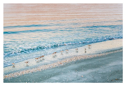 Framed Early Birds Print