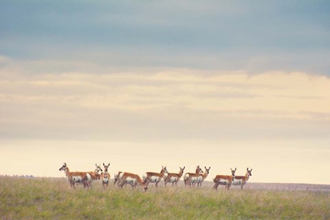 Framed Strength in Numbers Print