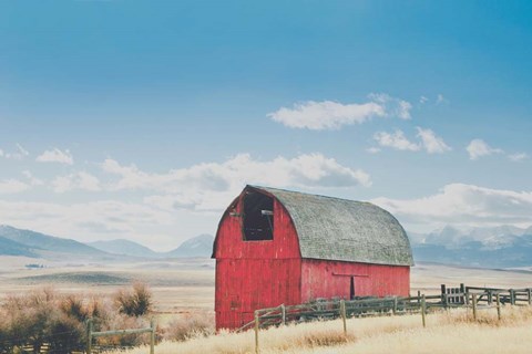 Framed Wood and Nails Print