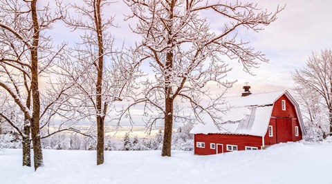 Framed Winter Arrives Print