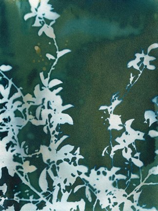 Framed Dark Garden Print