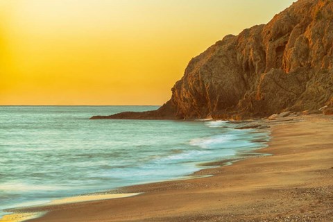 Framed Drinking Elephant Print