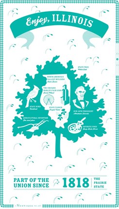 Framed Illinois Print