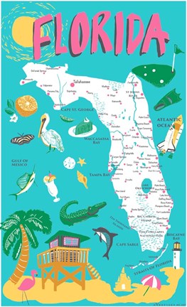 Framed Florida Print