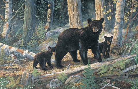 Framed Woodland Lessons Print