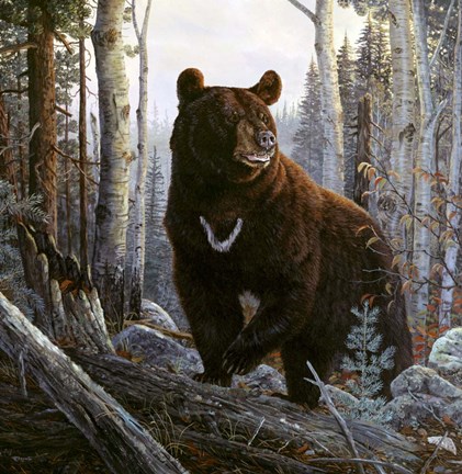 Framed Trophy Moment Print