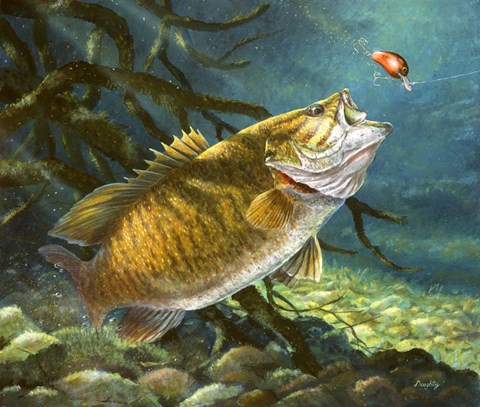 Framed Deep Water Prowler Print