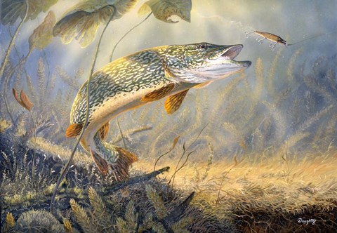 Framed Calm Waters Print